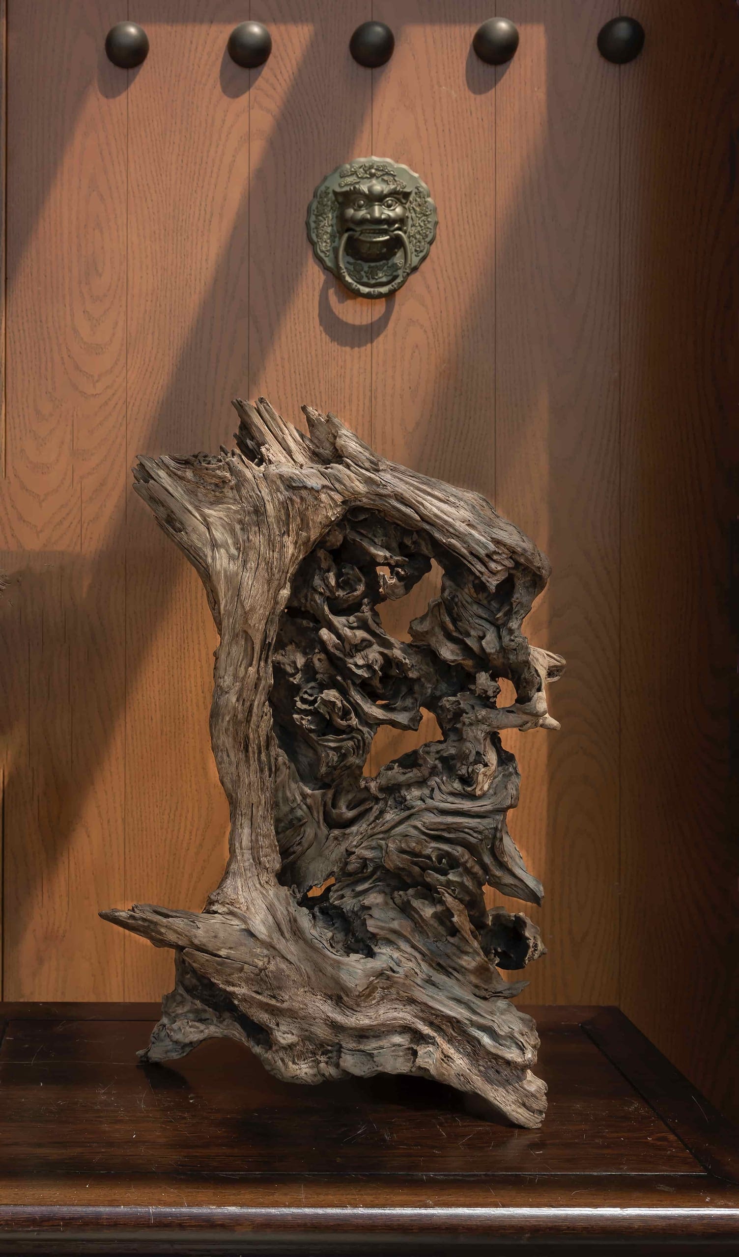 顾苏辉根读艺术作品《云根》，展现天然根材的原生肌理与意象
