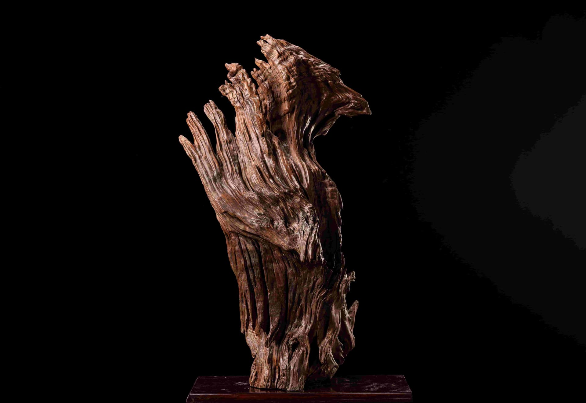 根读艺术作品重生雄鹰蜕变主图