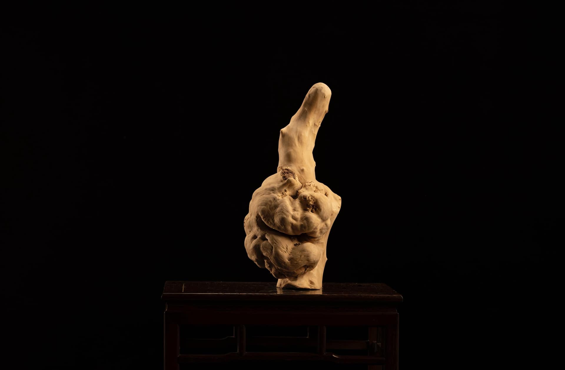 根艺作品收藏与保存指南封面,展示天然根材艺术作品的尺寸、材质和陈设关系