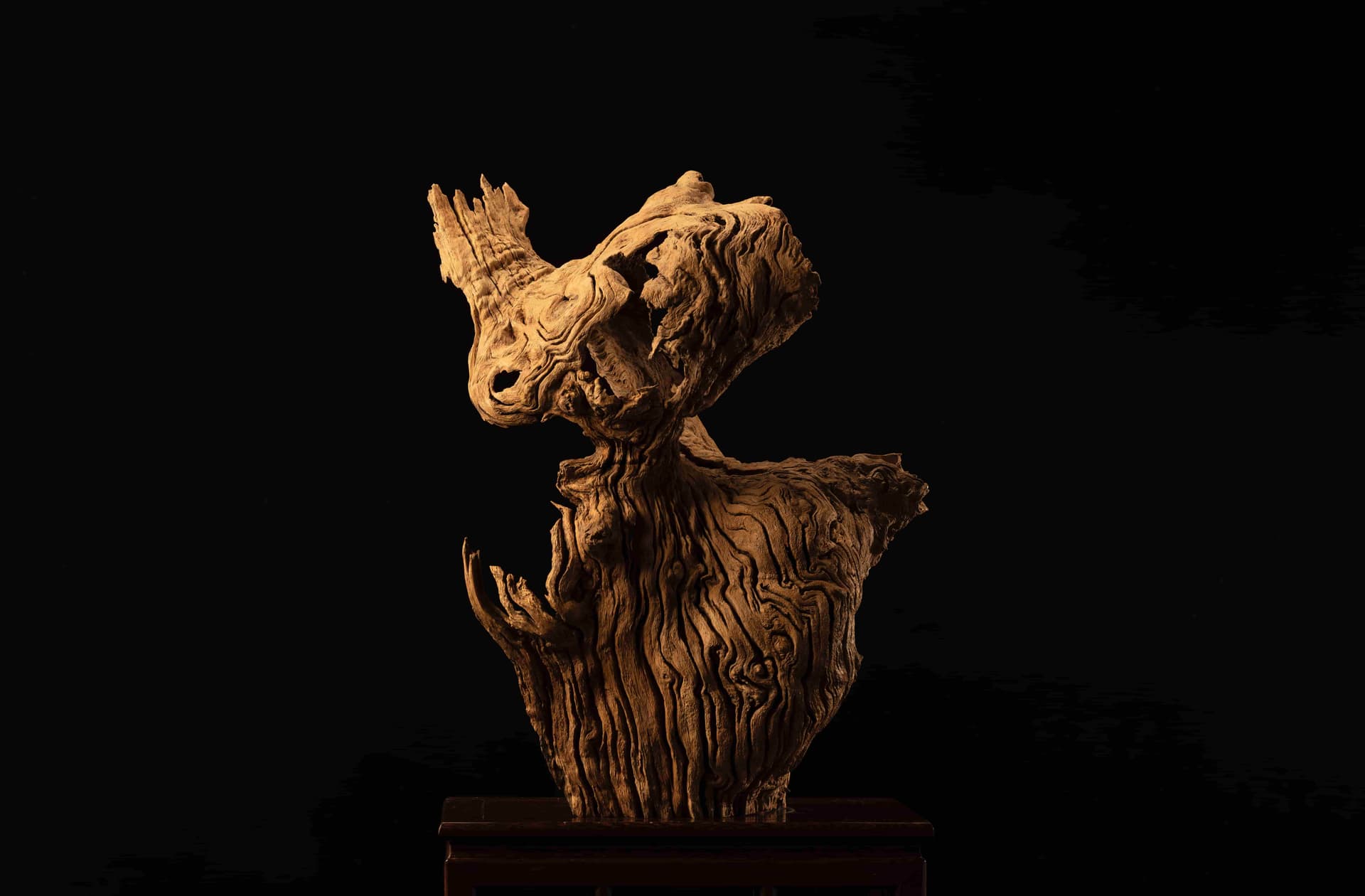 根读艺术作品古蜀回响主图