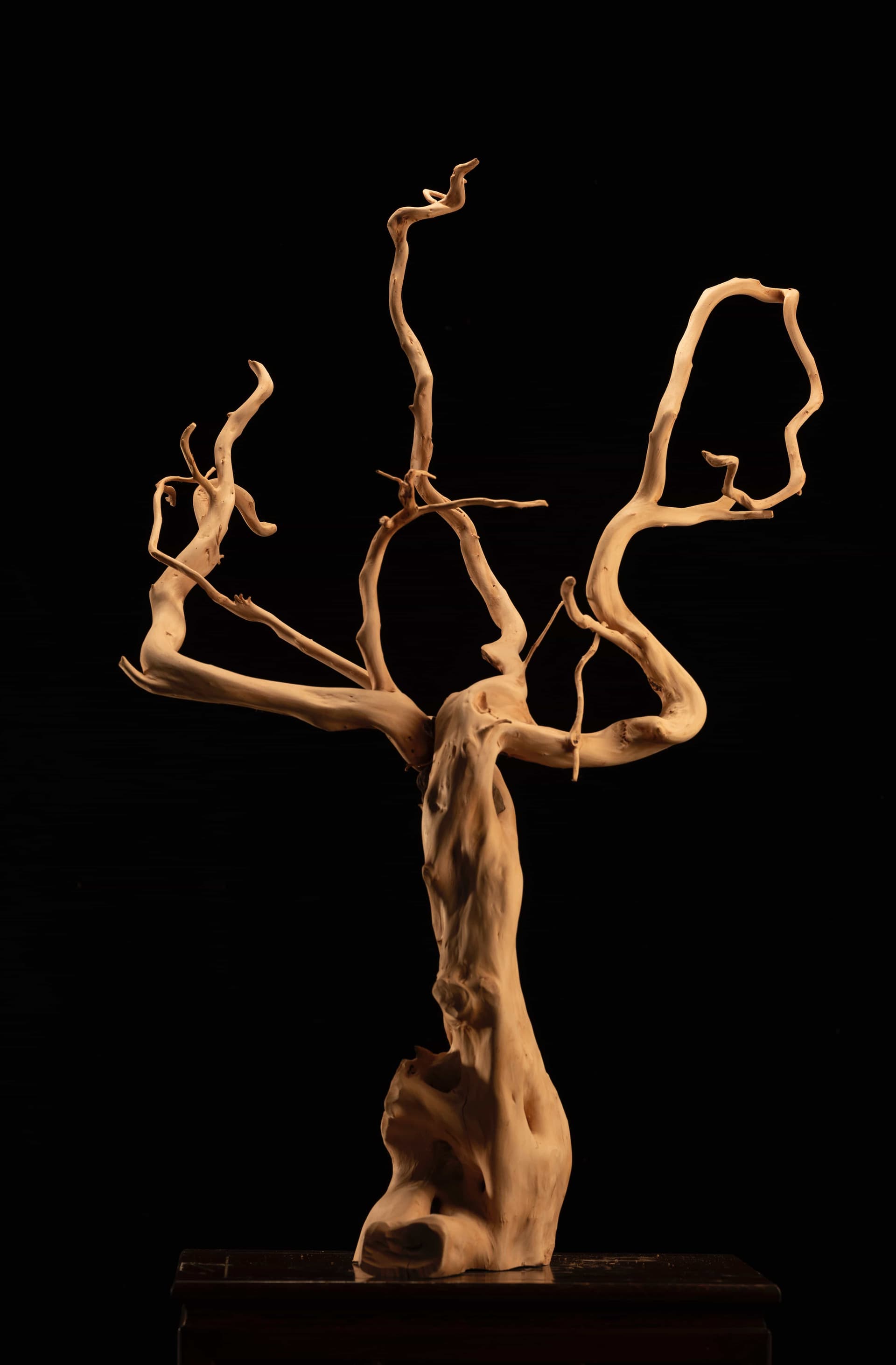 根读艺术作品梦回敦煌主图