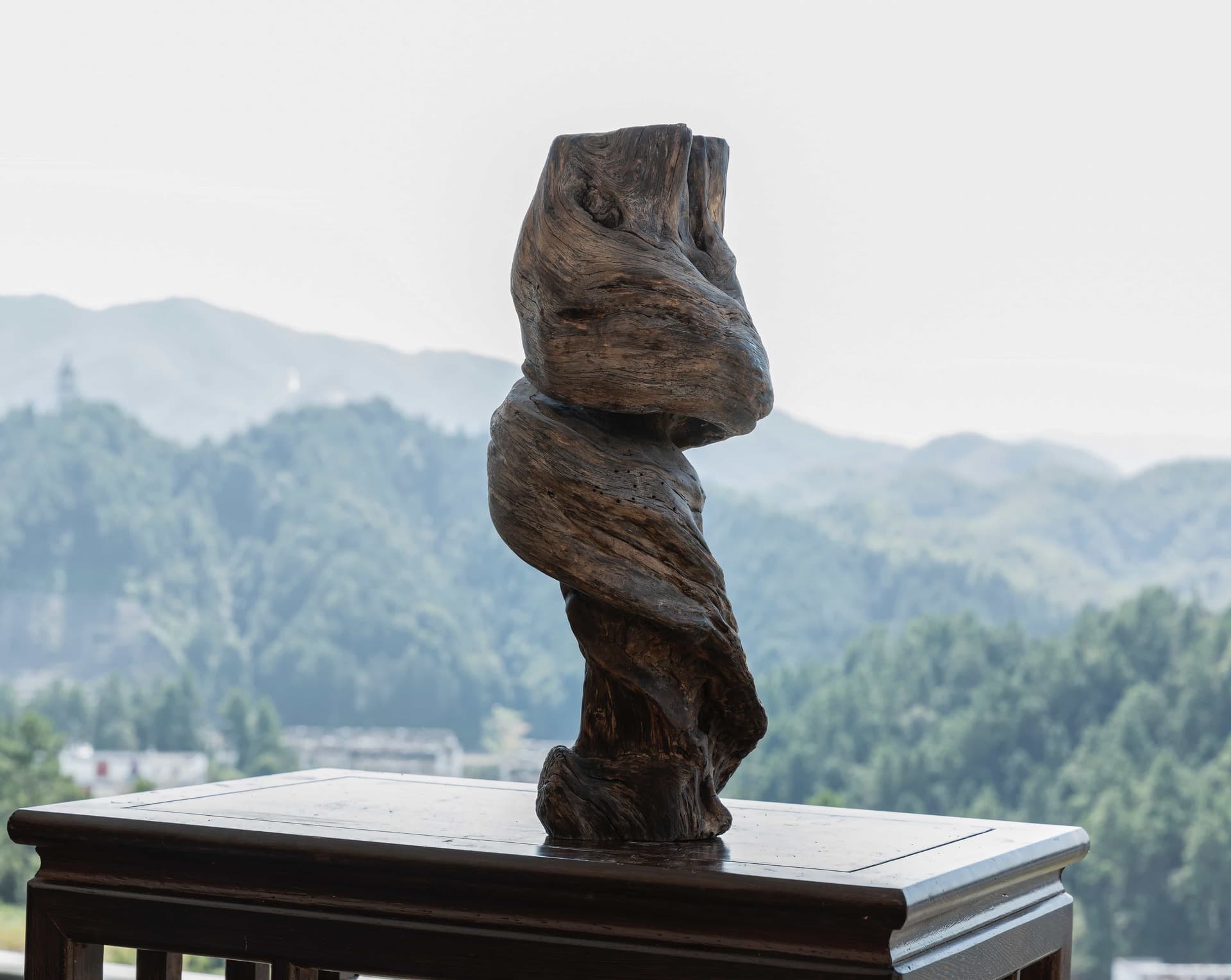 根读艺术作品维纳斯的侧影主图