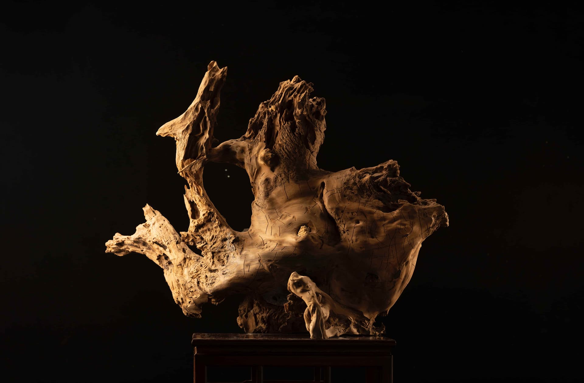 根读艺术作品鱼之梦主图