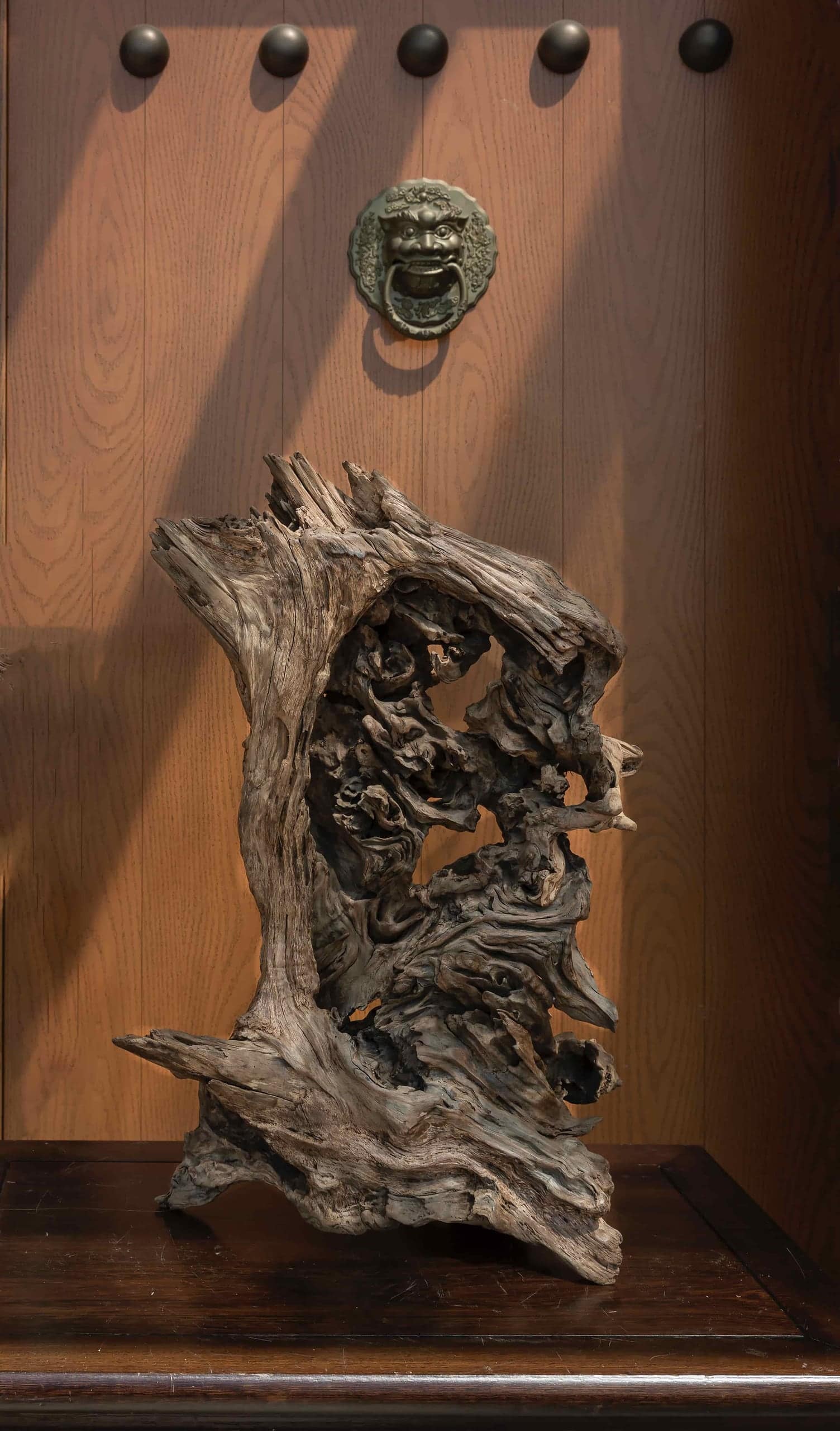 顾苏辉根读艺术作品《云根》鉴赏封面,展示天然根材形成的山势、孔洞与东方山水意境