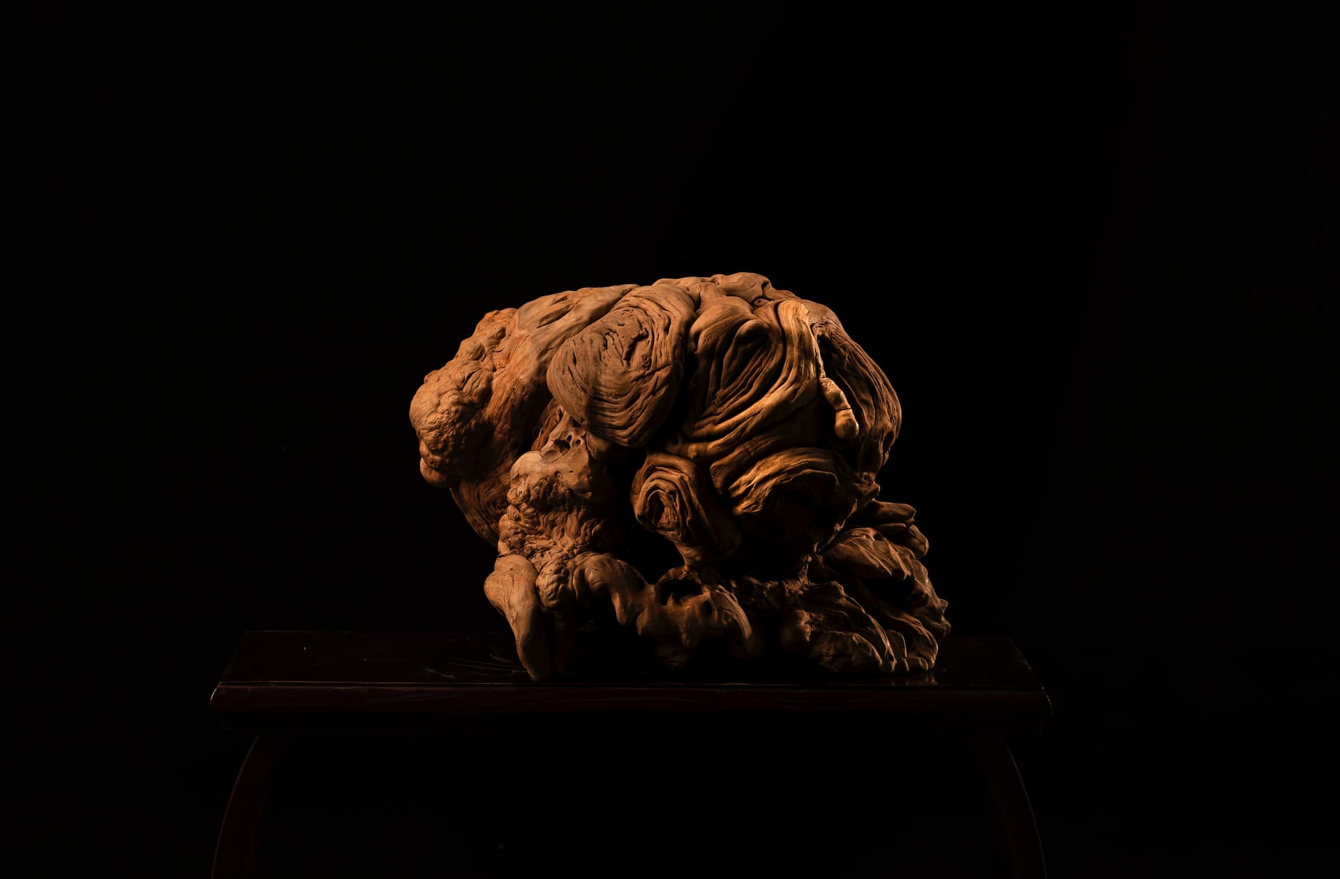 根读艺术作品智者之脑主图