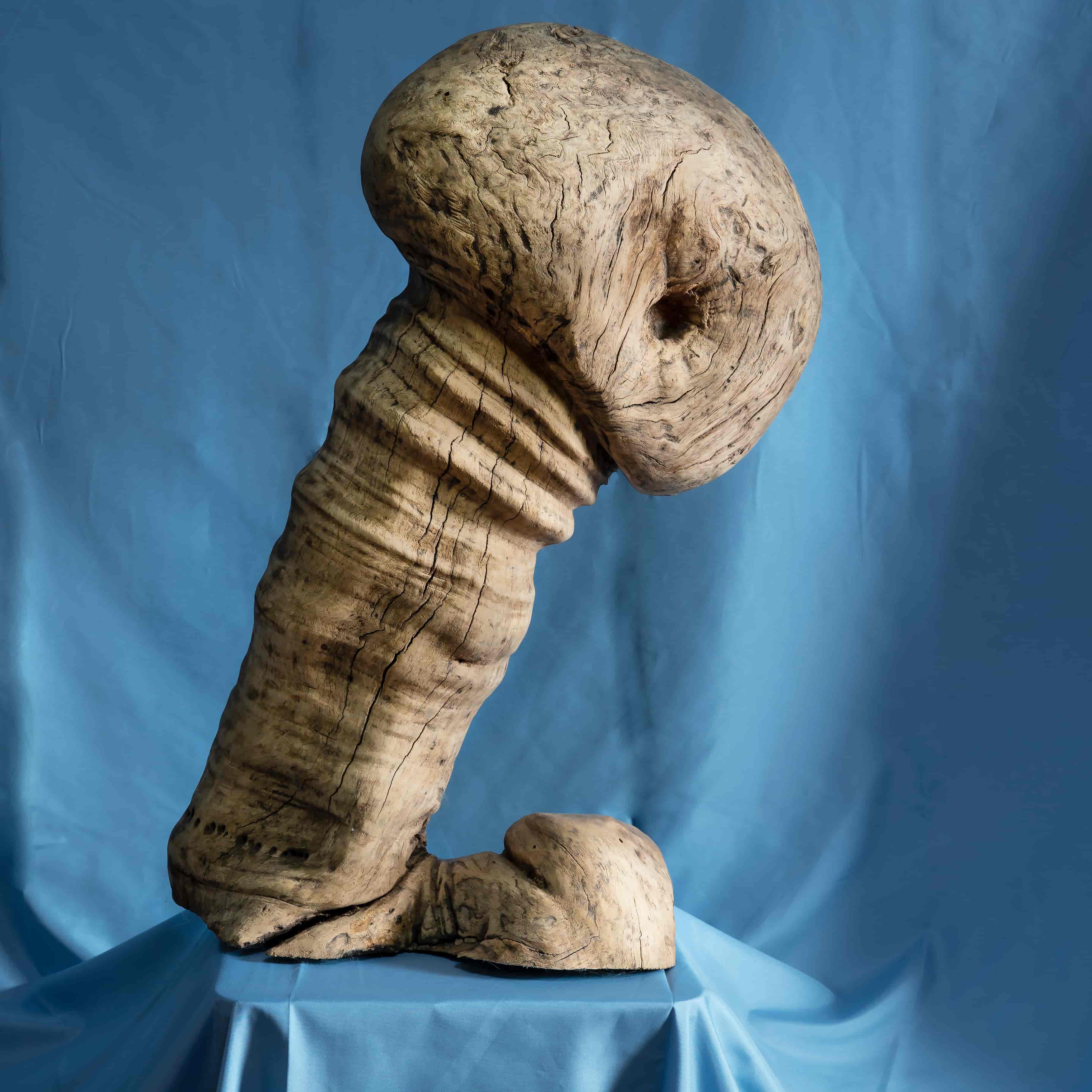 顾苏辉根读艺术作品大地之脉