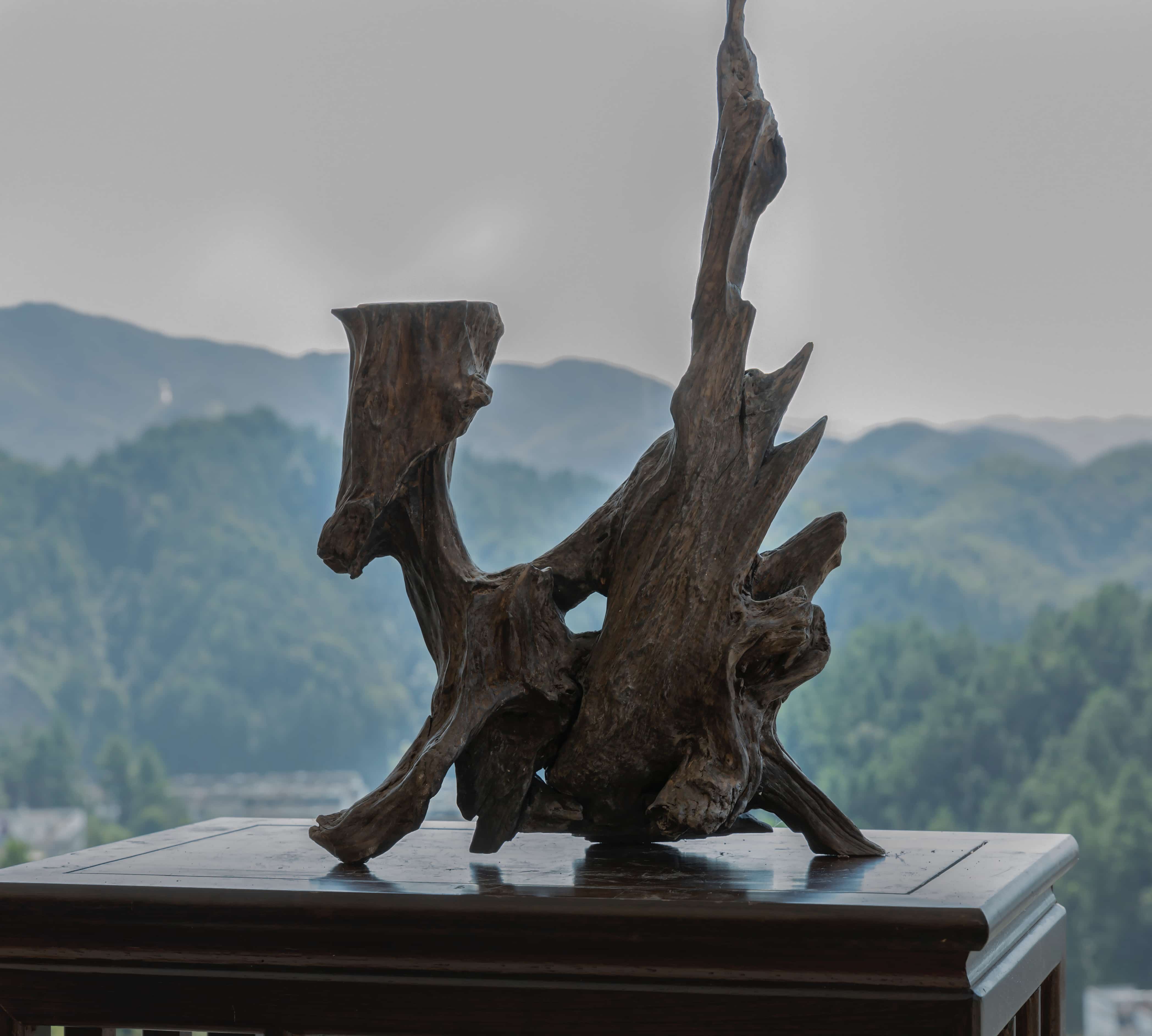 顾苏辉根读艺术作品凤鸣岐山