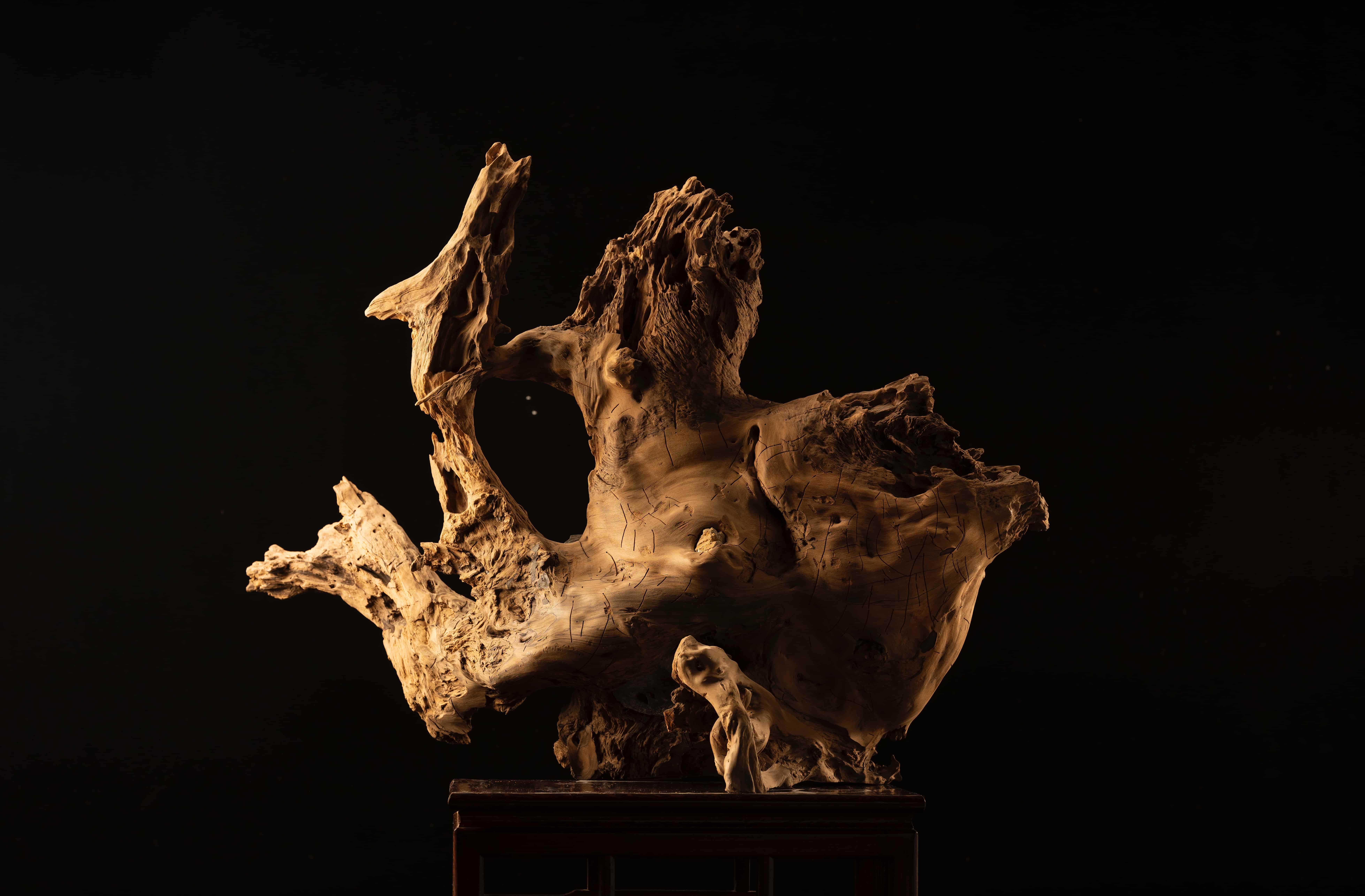 顾苏辉根读艺术作品鱼之梦